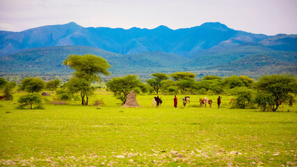 life in African village in Tanzania