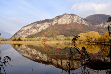 The peat bogs of Lake Iseo - 671057926