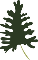 Alocasia tropical leaf illustration