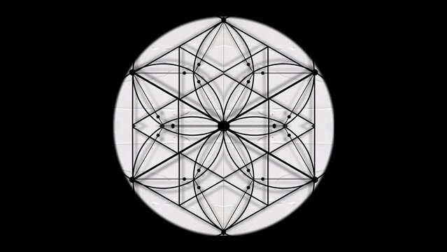 Flower of Life, Sacred Geometry overlay on the white circle background. Animated symbol for meditation, yoga events, films about nature, maths, spirit, philosophy and universe. Looped moving images 