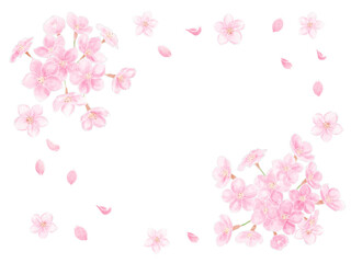 Obraz na płótnie Canvas 水彩で描いた満開桜のフレーム 