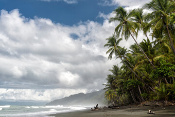 beach with palm trees in Corcovado national park - obrazy, fototapety, plakaty