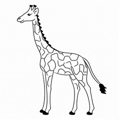 Fototapeta premium Zeichnung/ Ausmalbild - Giraffe