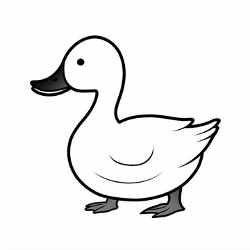 Zeichnung/ Ausmalbild - Ente