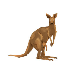 kangaroo with baby, Animal painting. vector illustration. wildlife isolated cartoon.