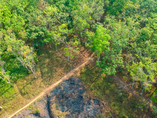 Drone view of forest fire scars. Tropical green forest in asia. Aerial view from of rubber plantation 