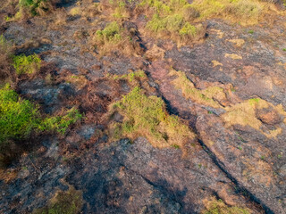 Drone view of forest fire scars. Tropical green forest in asia. Aerial view from of rubber plantation 
