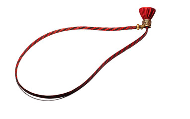 The Classic Circus ringmaster Whip Transparent PNG