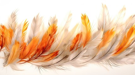  a group of orange and white feathers on a white background.  generative ai