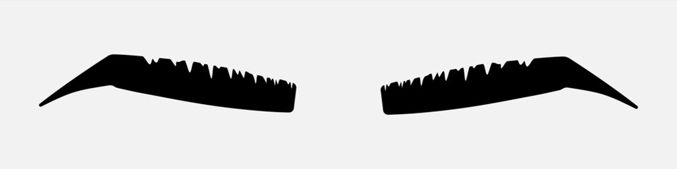 Eyebrows vector