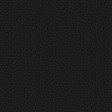 Seamless Black and White Pattern with Lines