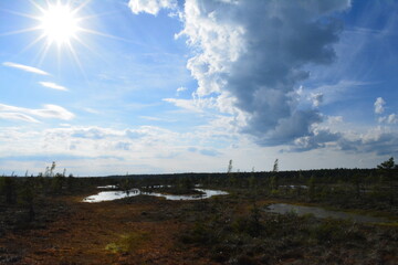 Obraz premium Kemeri national park