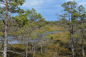 Kemeri national park