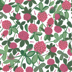 Seamless pattern. Gouache technique. Clover flowers.