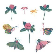 Flower, petals and leaves of clover.Butterflies. Gouache illustration. Isolated objects on a white background.