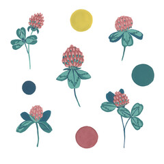 Clover flower, petals and leaves. Gouache illustration. Isolated objects on a white background.