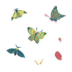 Butterflies. Gouache illustration. Isolated objects on a white background.
