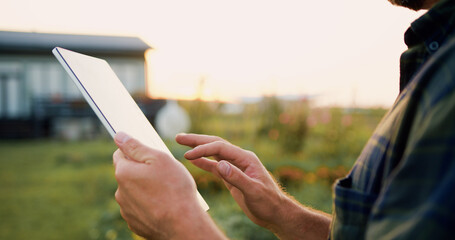 Close up of farmers hands taking notes and searches for information in tablet in agricultural field with plants in windy weather on sunset. Businessman promptly carries out online deal to sell crop. - obrazy, fototapety, plakaty
