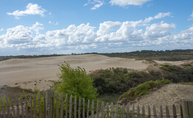 Fototapeta na wymiar Sand dunes called 'the desert' in nature reserve 'De Westhoek' in De Panne, Belgium
