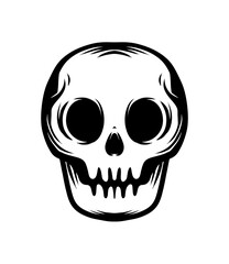 human skull illustration