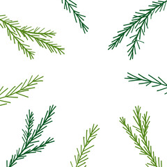 Pine tree copy space frame