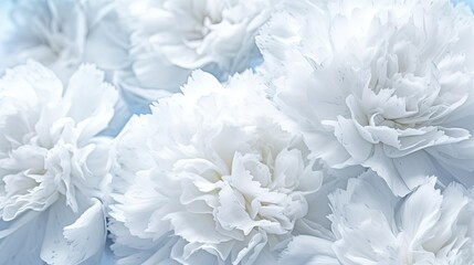 a close up of white flowers on a blue and white background.  generative ai