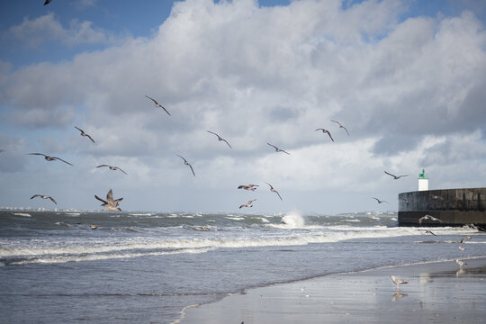 Tharon Plage avant la temp&ecirc;te