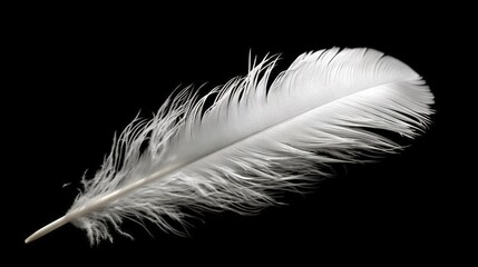  a white feather on a black background with a black background.  generative ai