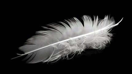  a white feather is laying on a black surface with a black background.  generative ai