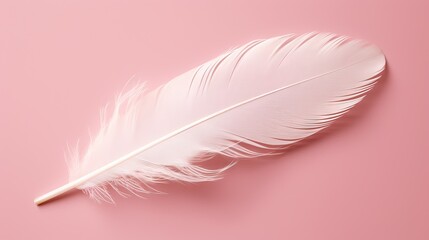  a white feather on a pink background with a white tip.  generative ai