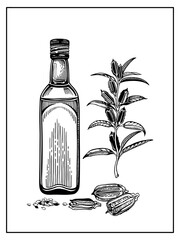 Composition with a bottle of sesame oil and a sprig with leaves, sesame seeds.