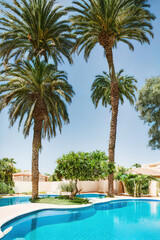 Fototapeta na wymiar Mediterranean white villa with palm trees and pool, Ai generated