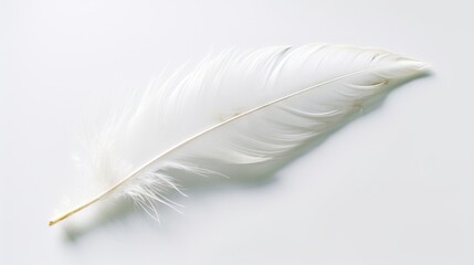  a white feather on a white background with a reflection of the feather.  generative ai