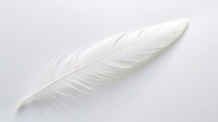  a white feather on a white background with a reflection of the feather.  generative ai