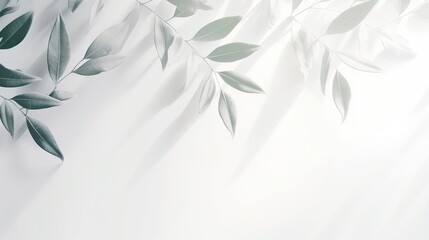  a close up of a leafy plant on a white background.  generative ai