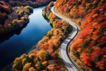 aerial view of beautiful road of japan in autumn