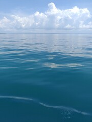 Fototapeta premium sea and sky
