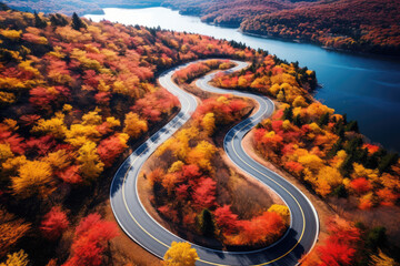 aerial view of beautiful road of japan in autumn
