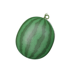 Watermelon Fresh fruits. PNG with transparent background.