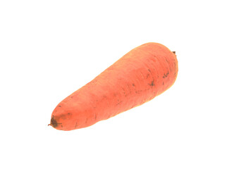 carrot isolated on white background