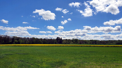 Beautiful spring landscape of fields and meadows in the Polish countryside