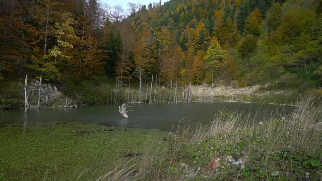 Lake Jasenica, Vlasic Mountain, Bosnia and Herzegovina - (4K)