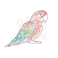 Parrot black stroke and colorful watercolor line and splashes on white background. 