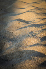 sand and afternoon sun