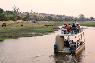 Boat cruise in the Chobe national park. A channel between north Botswana and Namibia. A closure to...