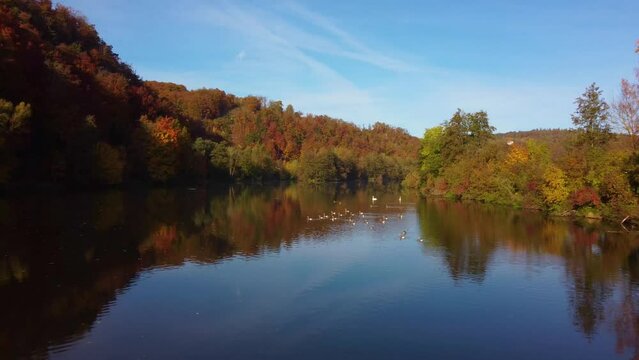 Drone flying low over river between colorful autumn leaf tree forest on sunny day_3