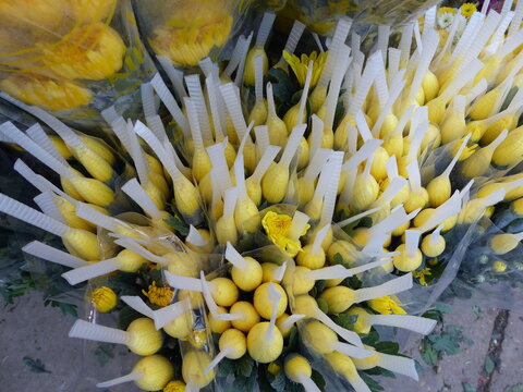 Bouquets di fiori gialli con la testa coperta di una protezione di plastica al mercato dei fiori di Quang Ba ad Hanoi in Vietnam.