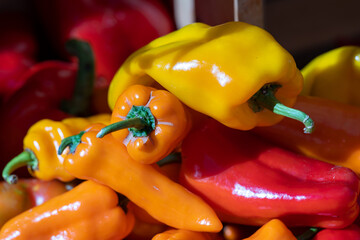 Fresh pepper for sale in a wooden box at a local farmers market in the fall