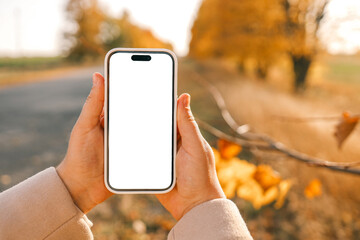 Phone in hands with an isolated screen on the background of an autumn road