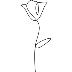 Flower Continuous Line Art